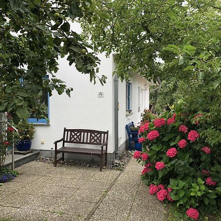 Ferienwohnung Mit Garten 维克 外观 照片