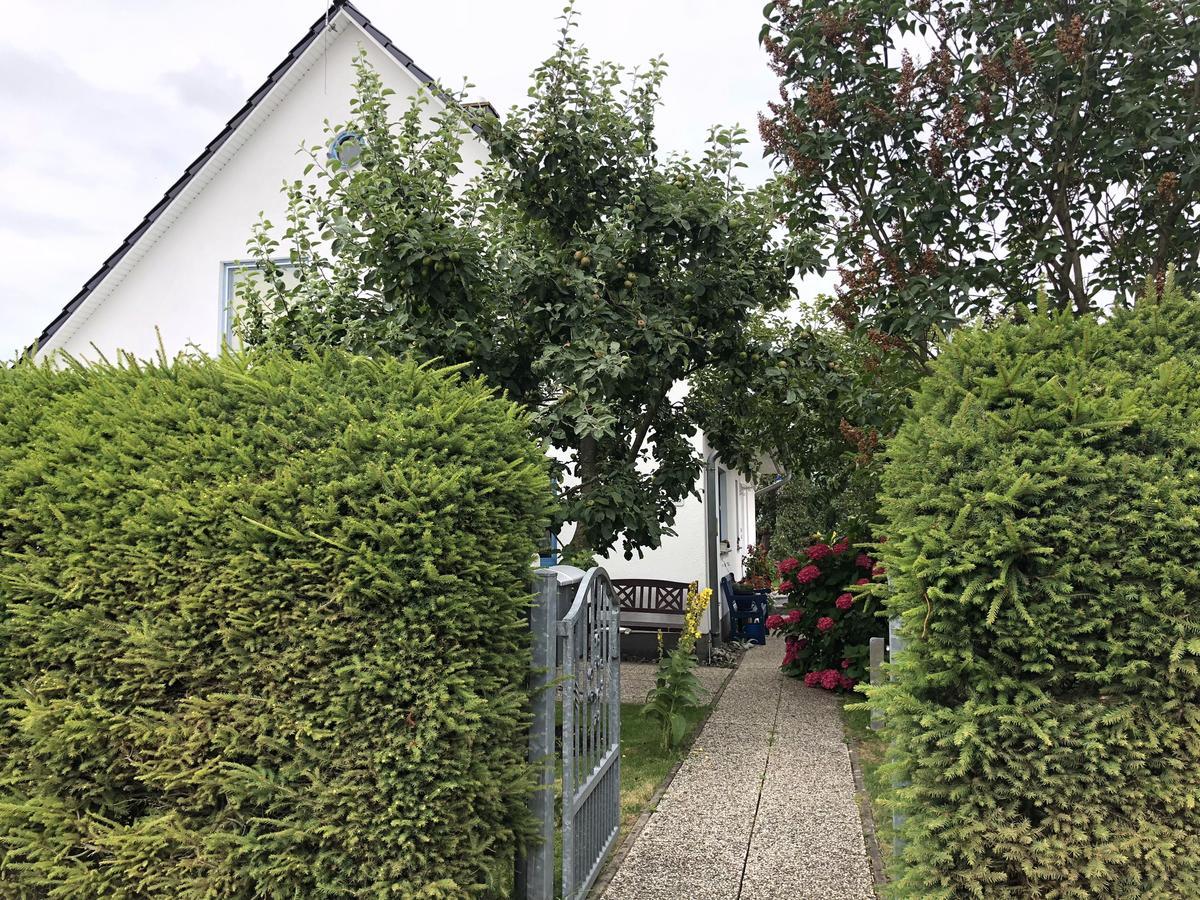 Ferienwohnung Mit Garten 维克 外观 照片